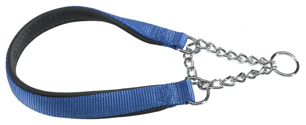 Collier pour chiens Ferplast DAYTONA CSS 60 cm x 2,5 cm bleu
