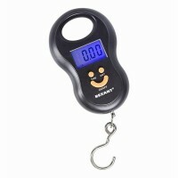 Scales a steelyard electronic Rexant, up to 50 kg