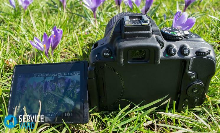 Mikä kamera on parempi - Canon tai Nikon?