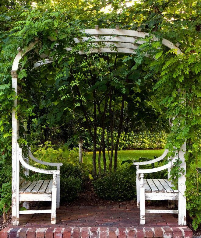 Arch with wooden benches under the trees