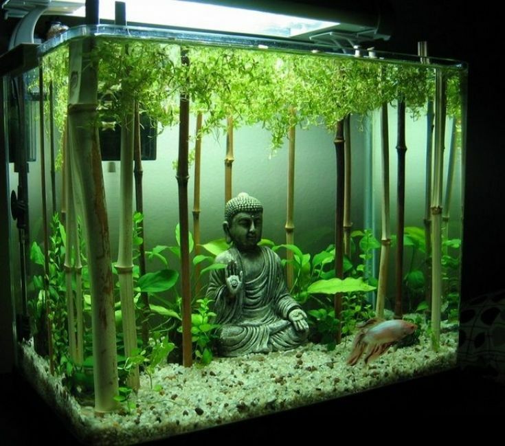 Ein kleines Aquarium mit einer Figur im orientalischen Stil dekorieren