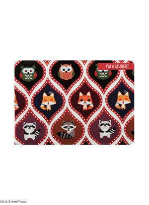 Cover for student patterns owl fox and raccoon