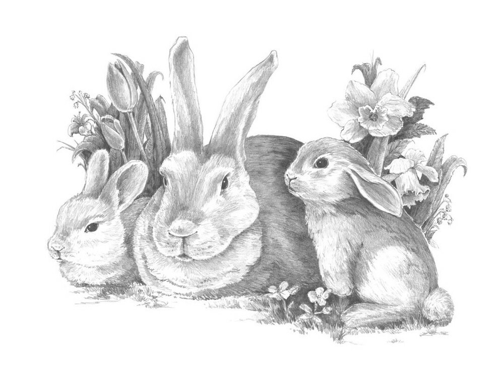 Sada na skicovanie „zajacov“