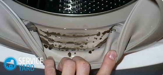 Sådan rengøres en vaskemaskine fra muldvarp og sort svamp hurtigt hjemme?