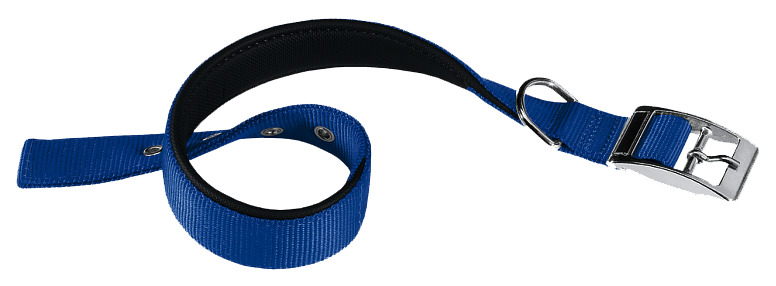 Halsband für Hunde Ferplast DAYTONA Blau 131106055
