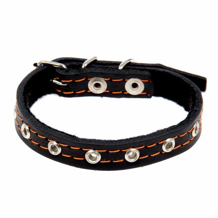 Leather collar with padding polyester, dimensionless, 37 x 1.5 cm mix of colors