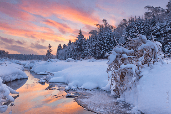 De kallaste vintrarna i Ryssland om 100 år