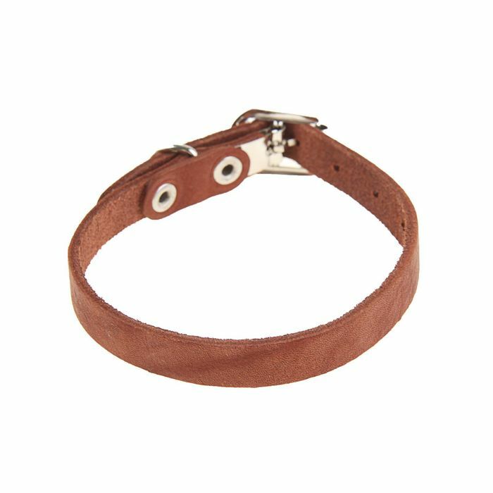 Single-layer leather collar, 30 х 1 cm, brown