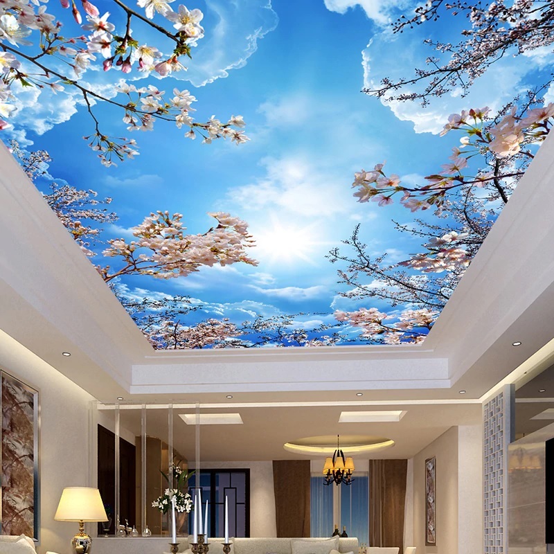 Wall murals on the ceiling