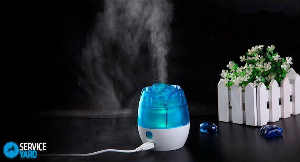 Where it is better to put a humidifier in the room?