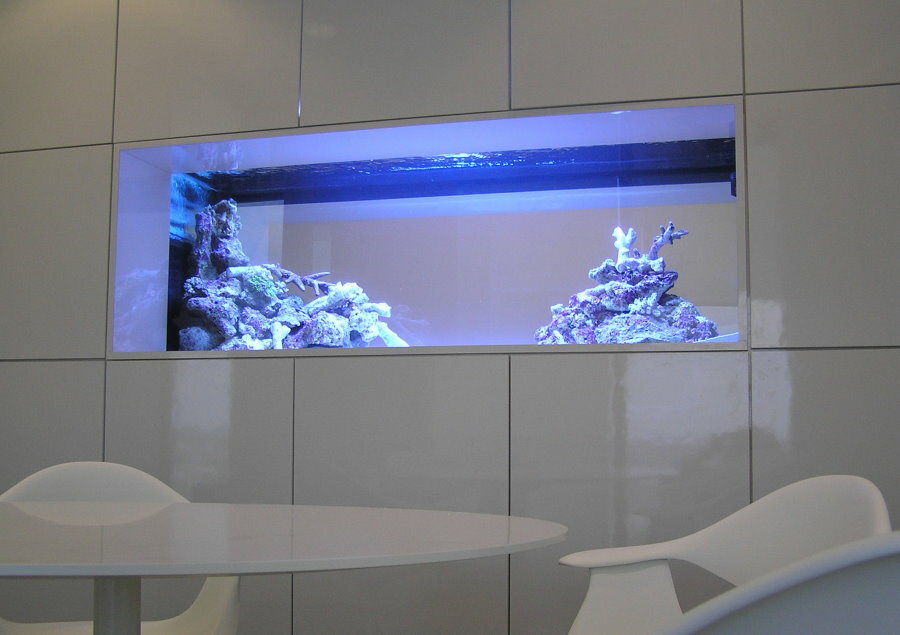 Blaue Beleuchtung des in die Wand eingebauten Aquariums