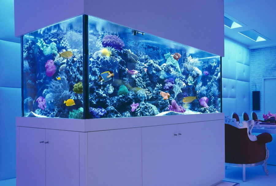 Eingebautes Aquarium im Meeresstil