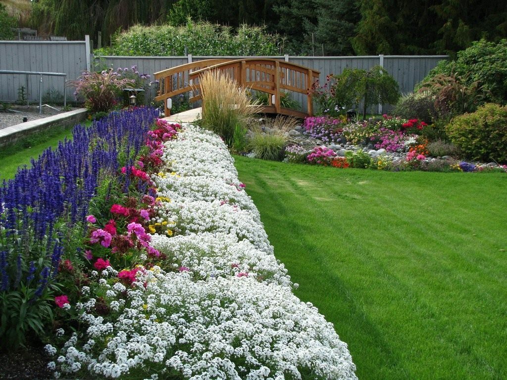 fleurs annuelles dans les idées de décoration de jardin