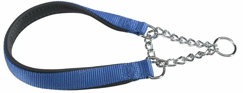 Köpekler için tasma Ferplast DAYTONA CSS 65 cm x 2.5 cm mavi