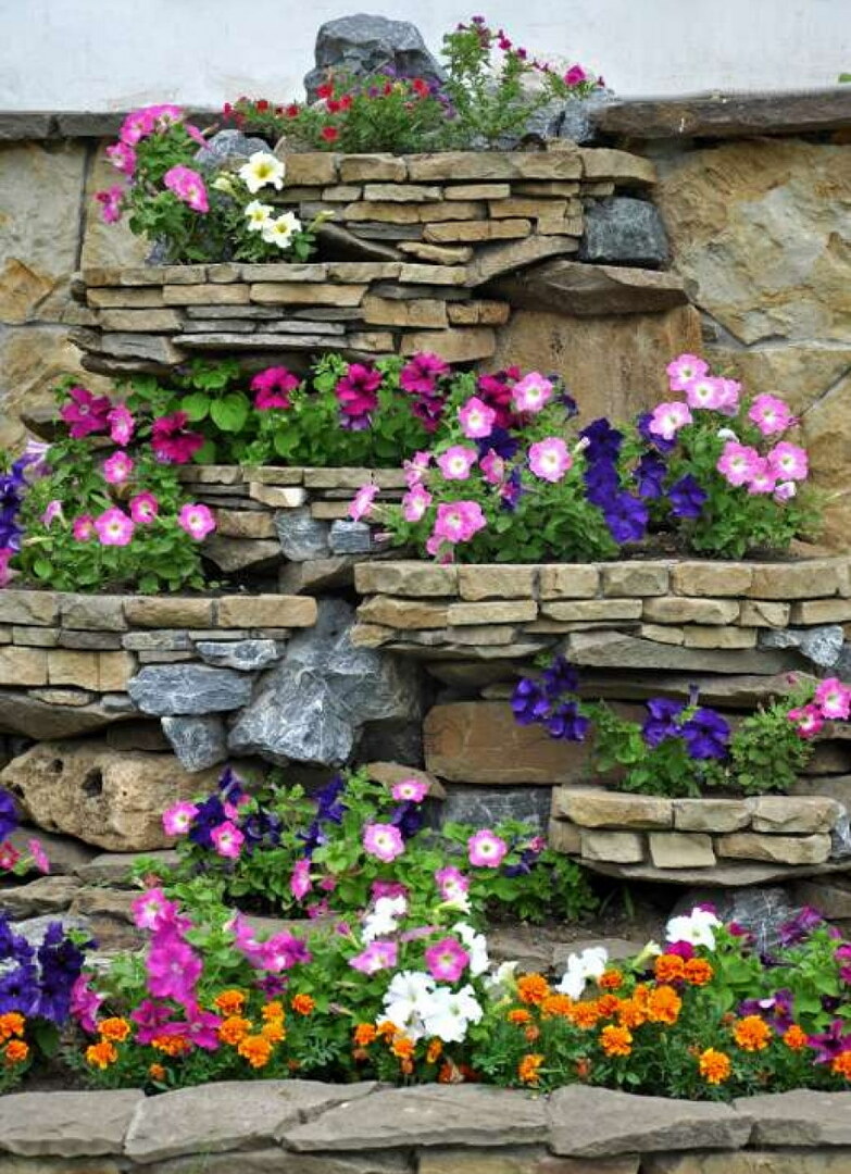 Hrubá kamenná vertikálna kvetinová záhrada