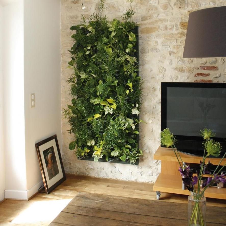 Compact living wall in the corner of the living room