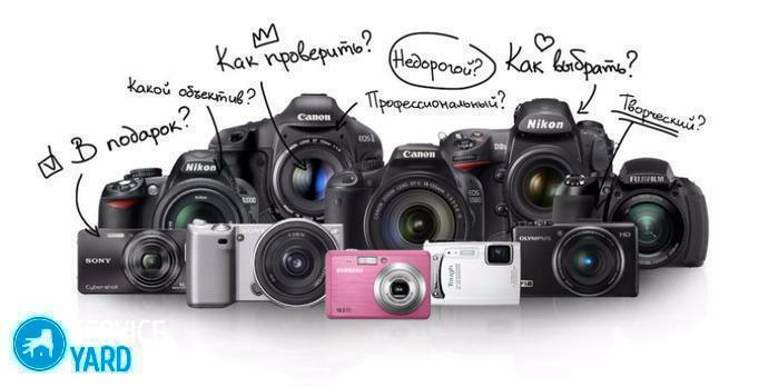 Cameras - which one is better to choose?