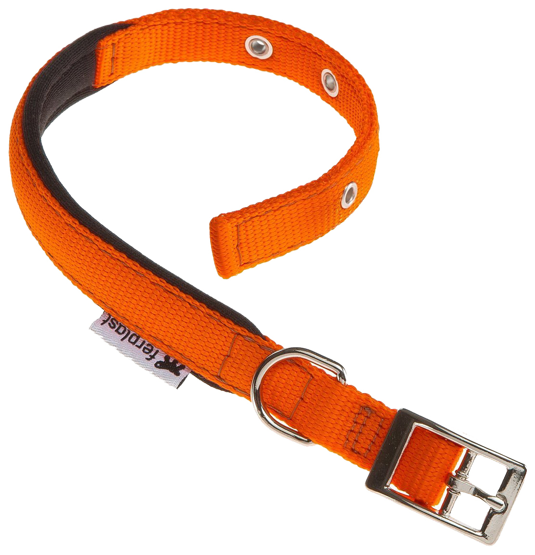Halsband voor honden Ferplast DAYTONA Oranje 131 106 116