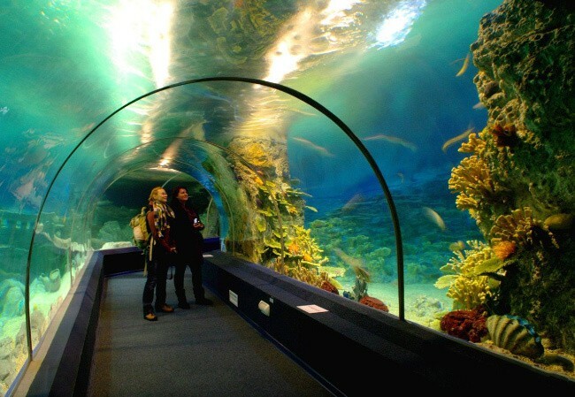 Najveći oceanariumi na svijetu