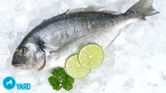Hvor meget fisk kan opbevares i køleskabet?