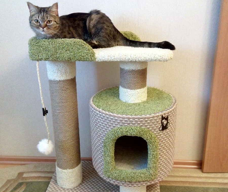 Scratching post with sleeping place for a domestic cat