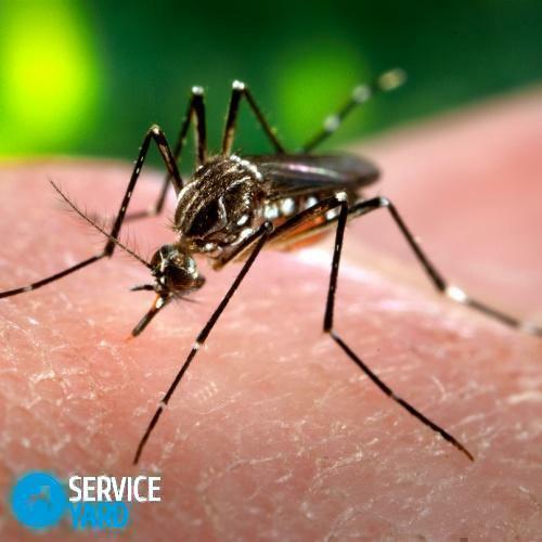 Środki zaradcze dla komarów dla noworodków