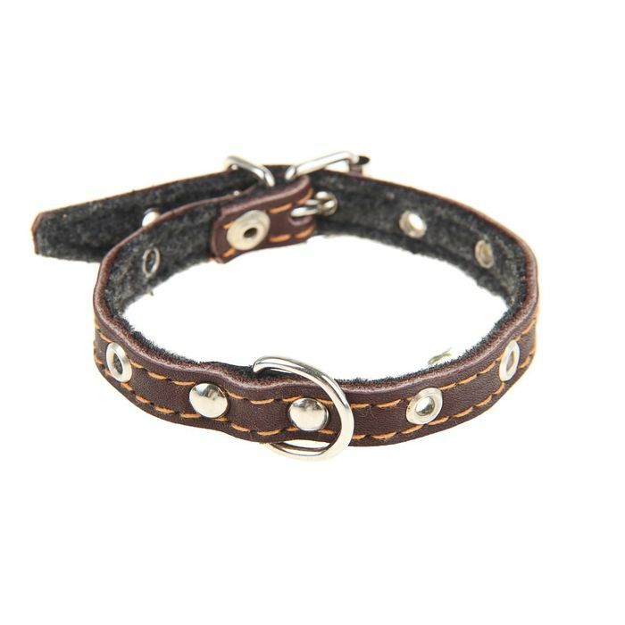Embossed leather collar on felt, 30 x 1.2 cm, dimensionless, mix of colors