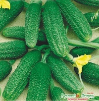 Seeds. Cucumber Naf-Fanto F1 (10 pieces)