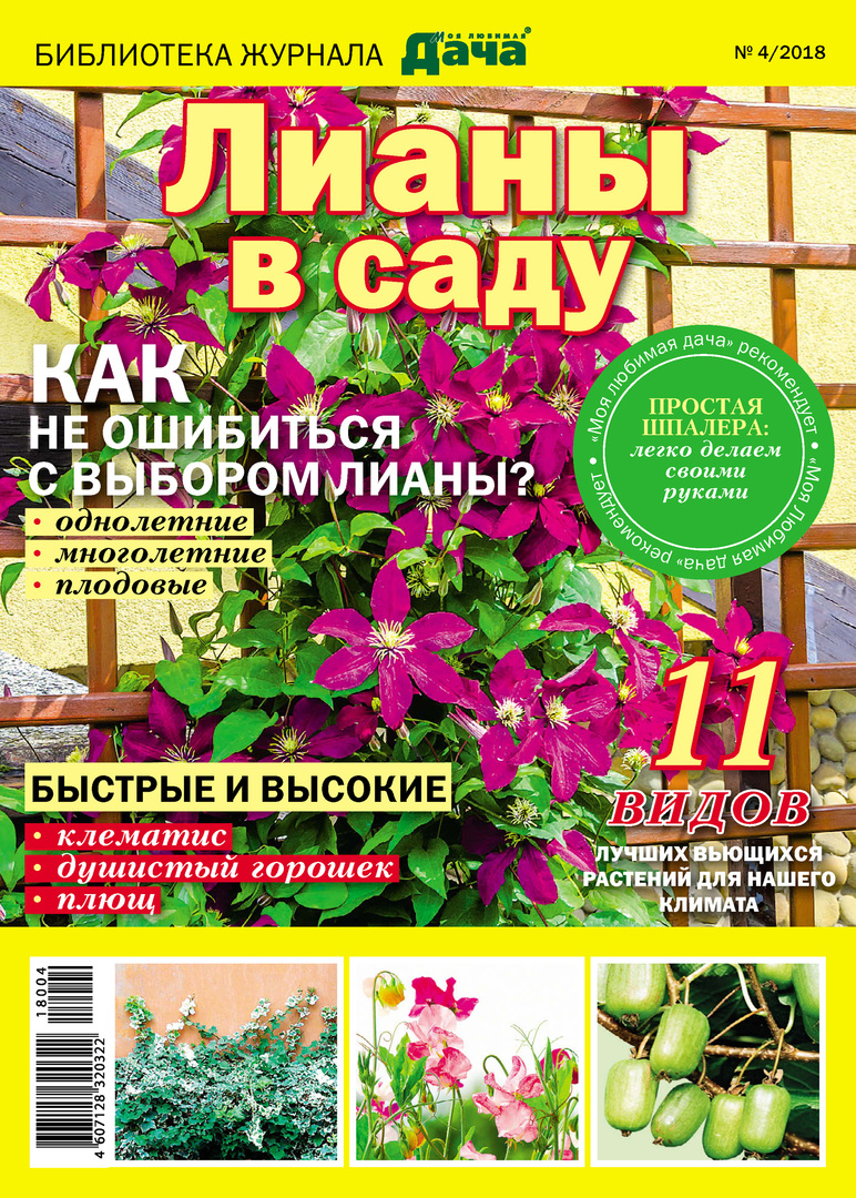 Biblioteka magazynu „Moja ulubiona dacza” № 04/2018. Winorośle w ogrodzie