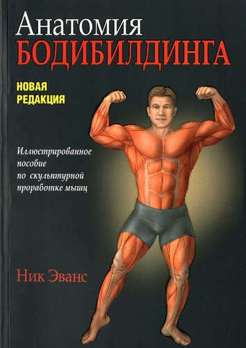 Bodybuilding-Anatomie