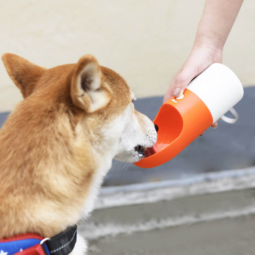 Tragbare # und # nbsp; Hund # und # nbsp; Flasche für Wasser