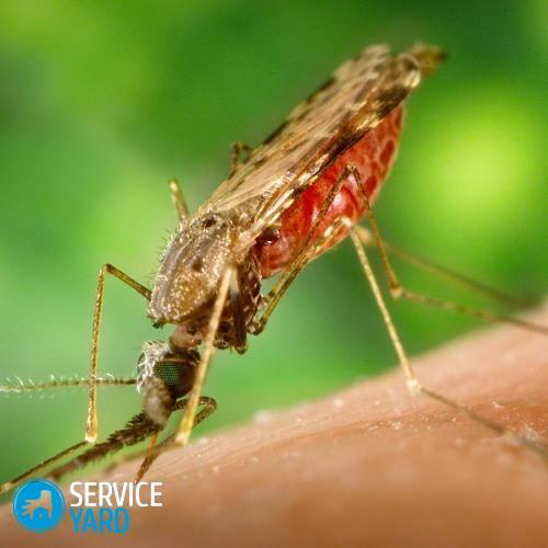 Náprava pro sprej proti komářím