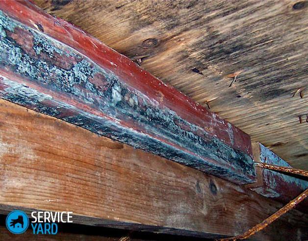 How to get rid of mold in the subfield of a wooden house?