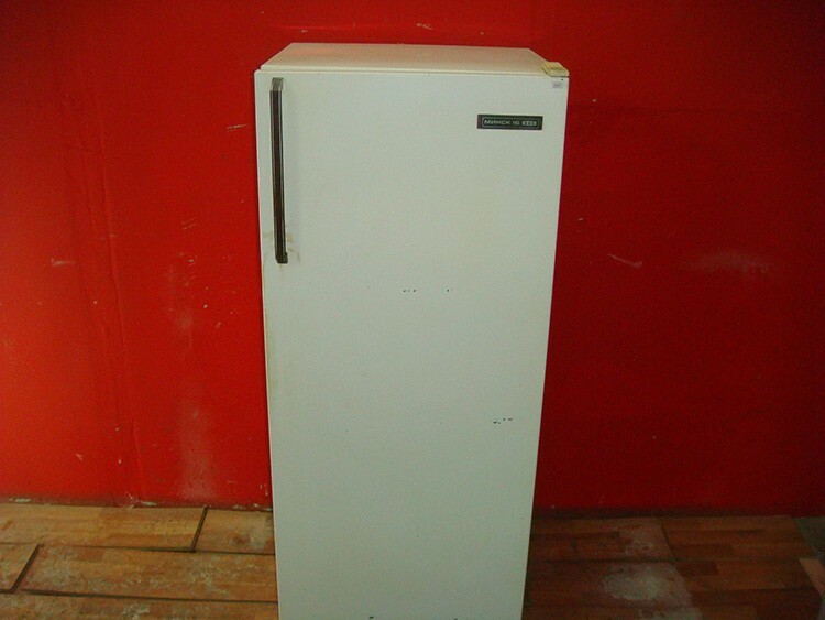 Tali frigoriferi " Minsk" funzionano fino ad oggi