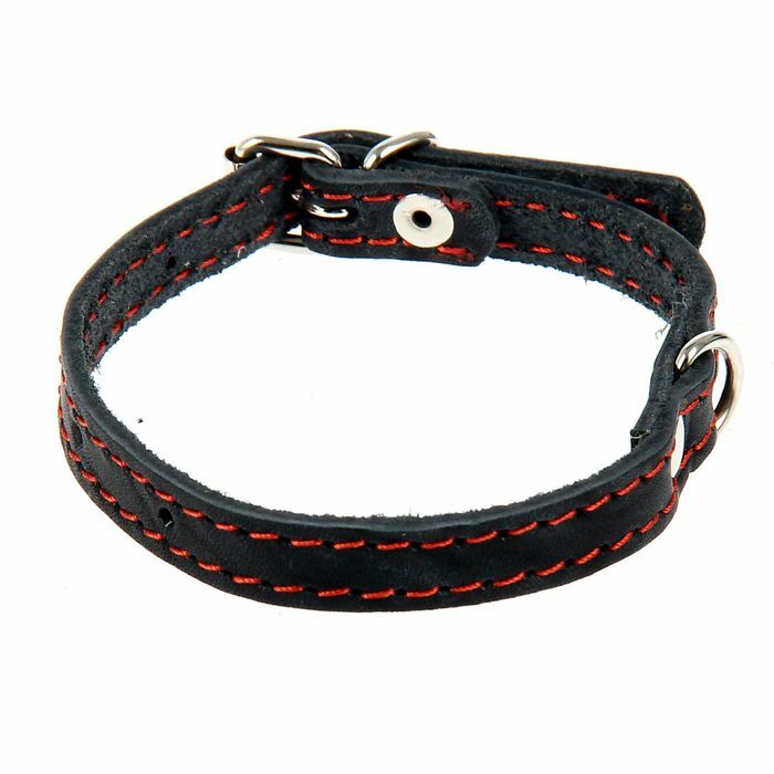 Single-layer leather collar, osh 16-38 cm, 1.2 cm mix of colors