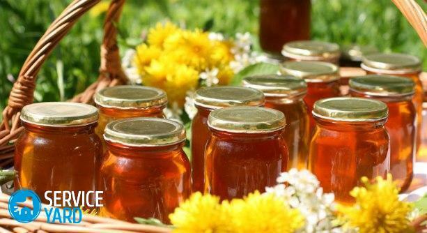 Wie kann man Honig in der Wohnung zu Hause aufbewahren?