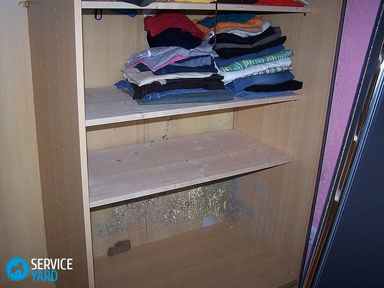 Mold in the closet with clothes - how to get rid?