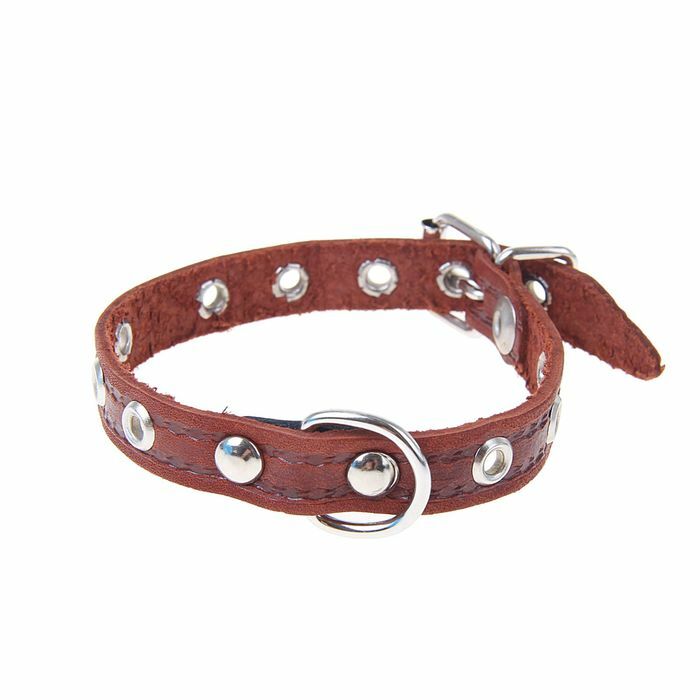 Single-layer embossed leather collar, 29 x 1.2 cm, dimensionless, mix of colors