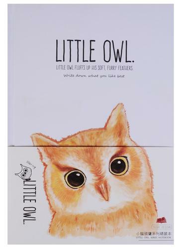 Little owl notebook (224 pages)