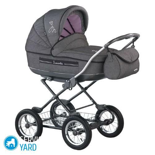 How to wash the mold in a stroller?