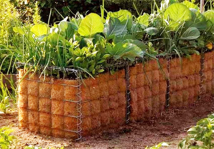 Bien que de telles structures semblent inhabituelles, elles fournissent une excellente aération du sol et empêchent la pourriture des racines dans les zones où l'eau s'accumule.