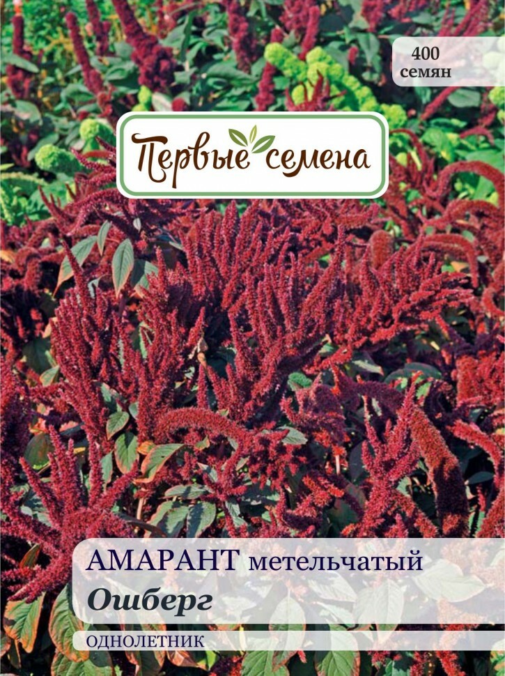 Kukansiemenet Ensimmäiset siemenet Amaranth paniculata Oshberg, 0,3 g