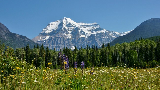 Die höchsten Berge in Nordamerika