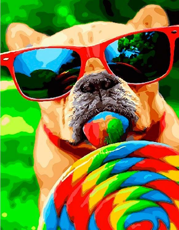 Peinture par numéro " Glamorous Bulldog"