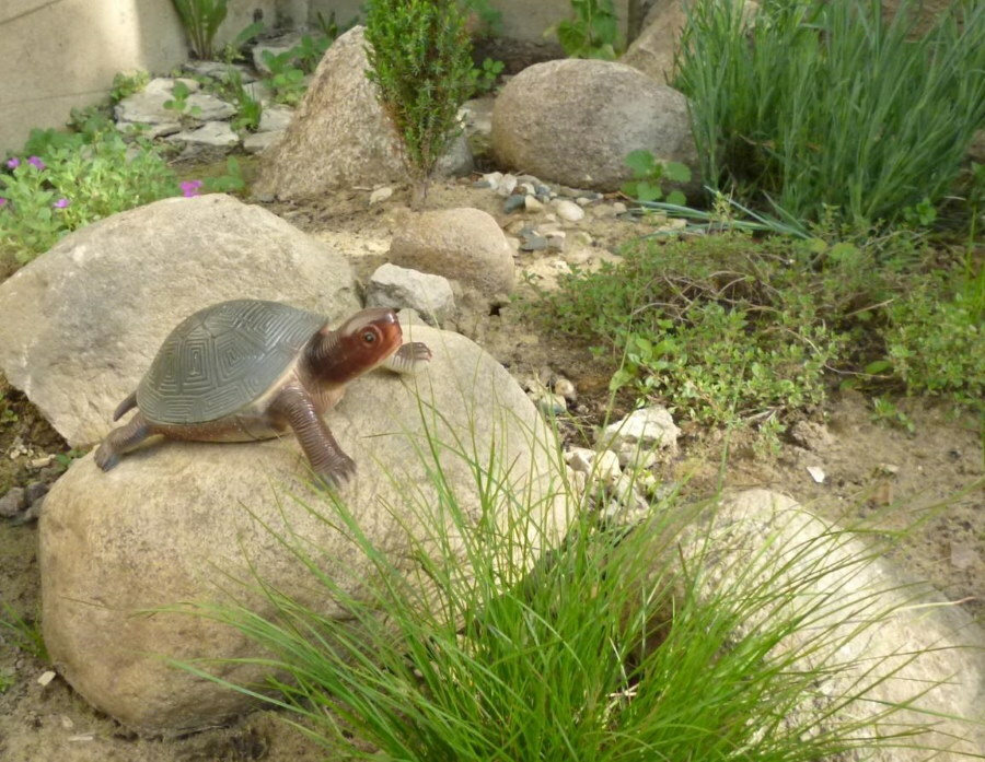 Egy teknősbéka figurája a kertben egy kősziklán