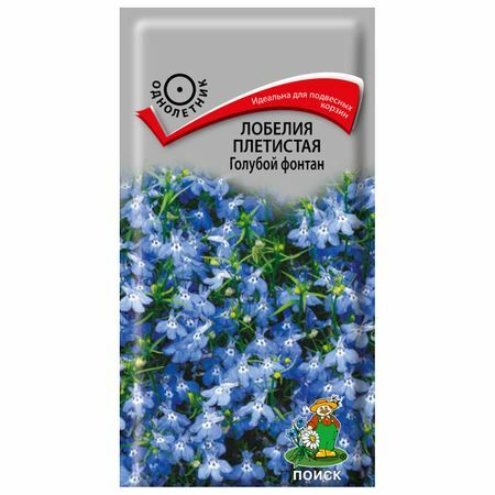 Lobelia popínavé semená Modrá fontána 0,1 g