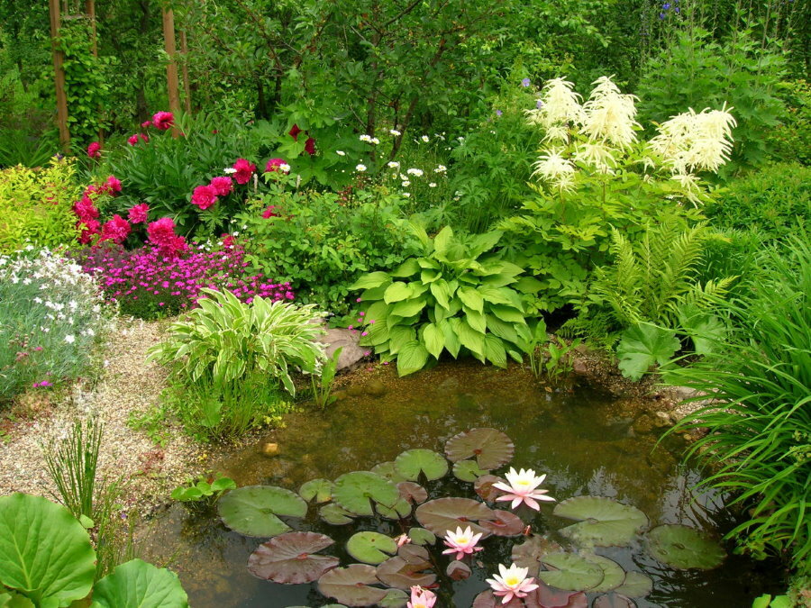 Small pond at their summer cottage