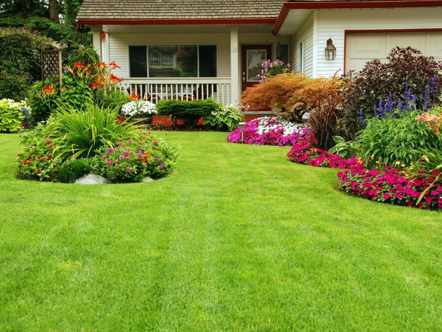 Piękny trawnik przed domem z ozdobnym trawnikiem