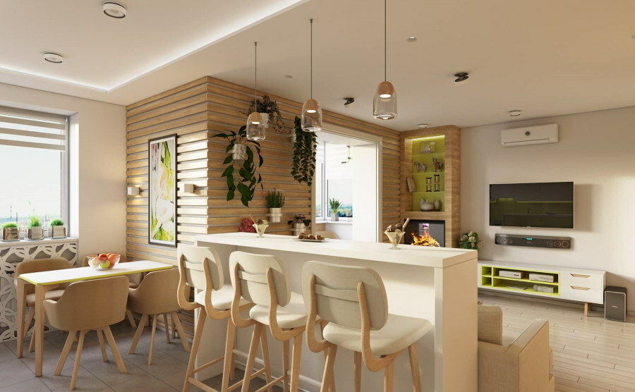 Eco-stile nel design degli interni della sala da pranzo-soggiorno
