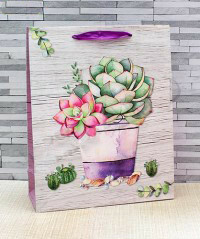 Confezione regalo Carte da sogno. Cactus con fiore rosa